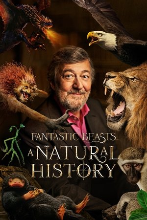 Image Fantastic Beasts: A Natural History