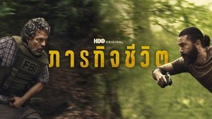 Images posters