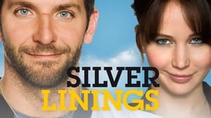 Silver Linings Playbook 2012