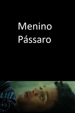 Poster Menino Pássaro 2018