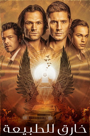 <Images posters