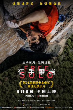 poster Free Solo