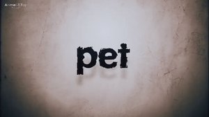 Pet: 1×13