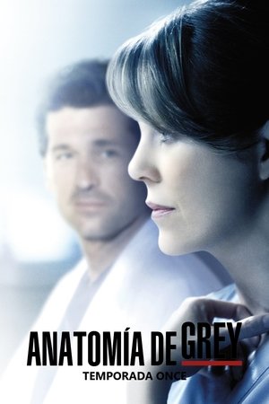 Anatomía según Grey