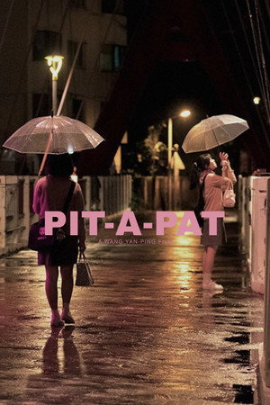 Pit-a-Pat 11