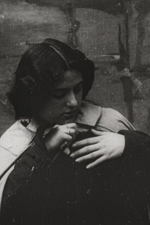 Il Trovatore