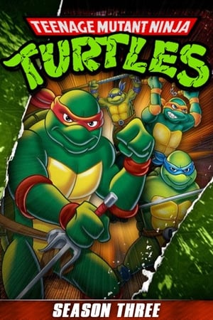 Teenage Mutant Ninja Turtles: Season 3