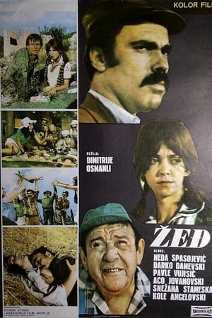 Poster Жед 1971