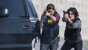 Blindspot: 1X6