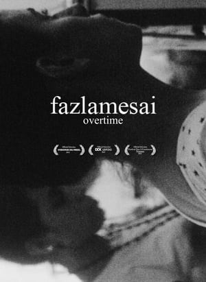 Poster Fazlamesai 2011