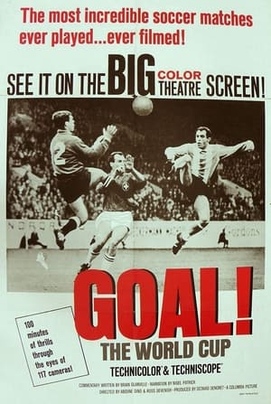Poster Goal! 1966