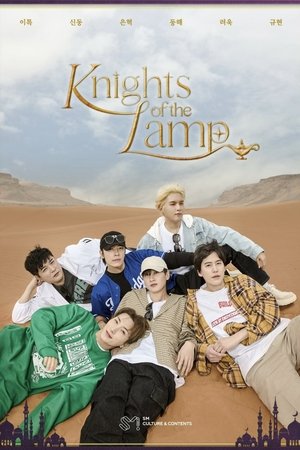 램프의 기사