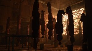 Blood Debt ( 2024 )