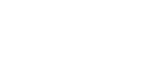 Бонус — Logos 1