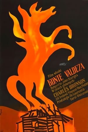 Poster Konie Valdeza 1973