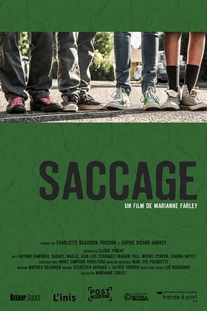 Image Saccage