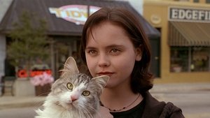 O İllet Kedi (1997) izle