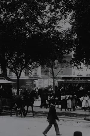 View on Boulevard, New York City (1896)