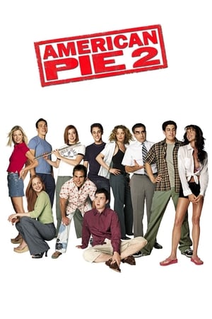Poster di American Pie 2