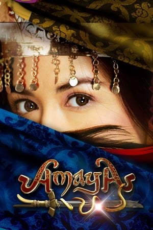 Poster Amaya 2011