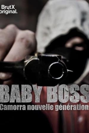 Baby Boss : Camorra nouvelle génération film complet