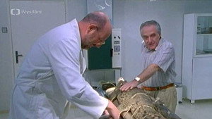 Still from Episode 2