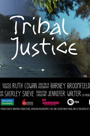 Poster Tribal Justice (2017)