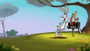 New Looney Tunes (2015) online μεταγλωτισμένο