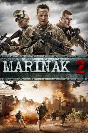Poster Mariňák 2 2014