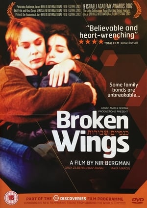 Broken Wings poster