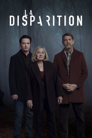 La Disparition movie poster