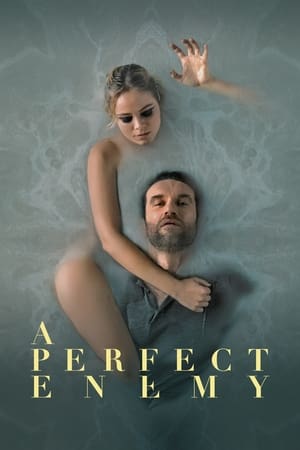 Inimiga Perfeita Torrent (2021) Dual Áudio 5.1 / Dublado WEB-DL 1080p – Download