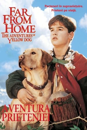 Poster Far from Home: The Adventures of Yellow Dog 1995