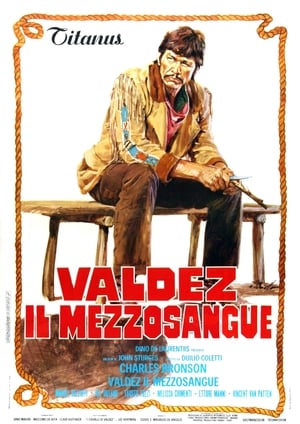 Poster Valdez, il mezzosangue 1973