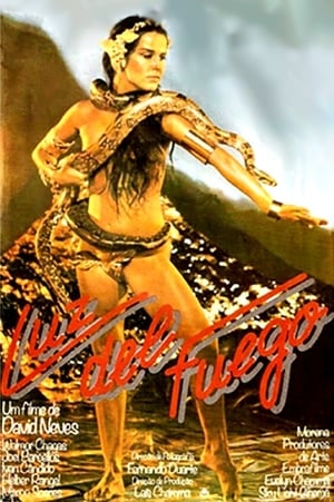 Luz Del Fuego poster