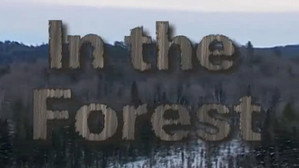 In the Forest
