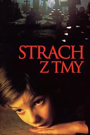 Poster Strach z tmy 1991