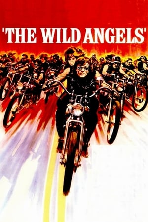 Image The Wild Angels