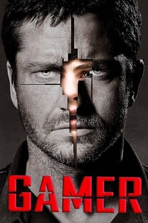 Poster Gamer 2009