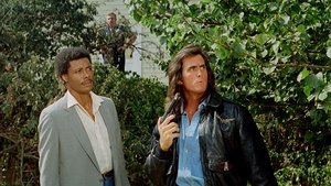 Samurai Cop