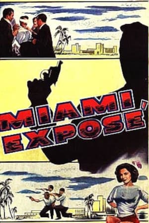Poster Miami Exposé (1956)