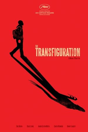 A Transfiguração