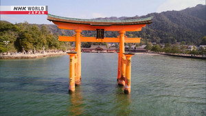 Torii still
