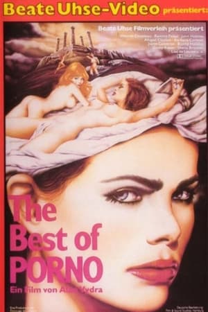 Poster The Best of Porno 1980