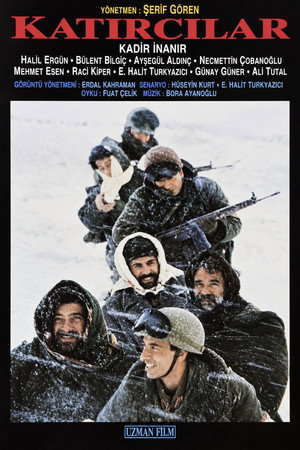 Muleteers 11