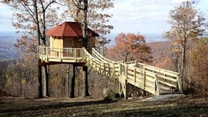 Treehouse Masters Black Bear Bungalow