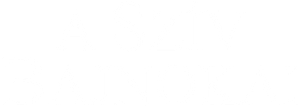 The Blind Side — Logos 9