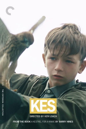 Постер фильма «Кес (1969)» — (11 из 33)