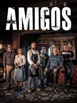 Poster Amigo's 2017