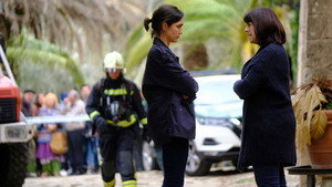 La caza: 2×1